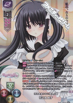 画像1: 【KR】汚れを知らない箱入り娘 花之宮 良子 (1)