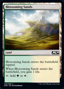 画像1: 【英語】花咲く砂地/Blossoming Sands (1)