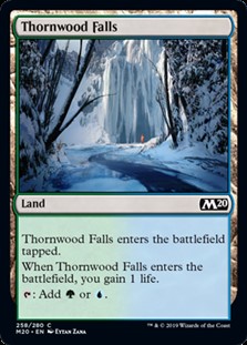 画像1: 【英語】茨森の滝/Thornwood Falls (1)