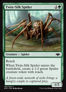 画像1: 【英語】双子絹蜘蛛/Twin-Silk Spider (1)