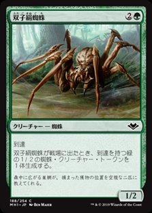画像1: 【日本語】双子絹蜘蛛/Twin-Silk Spider (1)