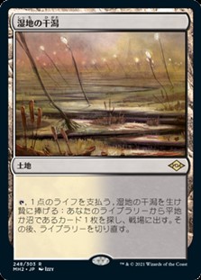 画像1: 【日本語Foil】湿地の干潟/Marsh Flats (1)