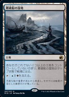 画像1: 【日本語Foil】難破船の湿地/Shipwreck Marsh (1)