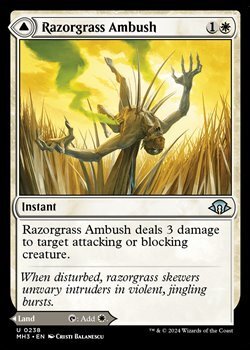 画像1: 【英語】剃刀草の待ち伏せ/Razorgrass Ambush (1)