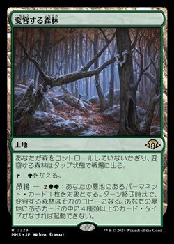画像1: 【日本語】変容する森林/Shifting Woodland (1)