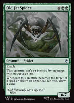 画像1: 【英語】でぶの年寄りクモ/Old Fat Spider (1)
