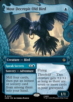 画像1: ☆特殊枠【英語】この上なくよぼよぼな年より鳥/Most Decrepit Old Bird (1)