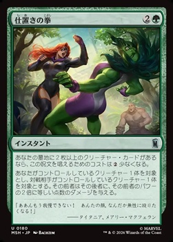 画像1: 【日本語】仕置きの拳/Punishing Punch (1)