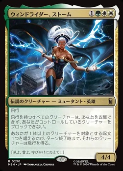 画像1: 【日本語】ウィンドライダー、ストーム/Storm, Windrider (1)