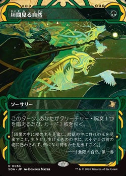 画像1: ☆特殊枠【日本語】垣間見る自然/Glimpse of Nature (1)