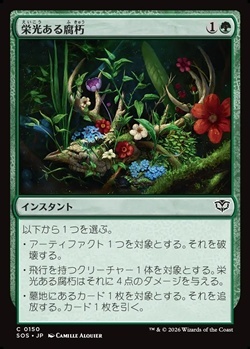 画像1: 【日本語】栄光ある腐朽/Glorious Decay (1)