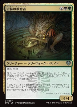 画像1: 【日本語Foil】古株の教育者/Old-Growth Educator (1)