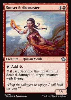 画像1: 【英語】夕日の拳聖/Sunset Strikemaster (1)