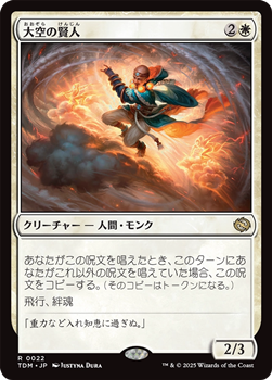 画像1: 【日本語】大空の賢人/Sage of the Skies (1)