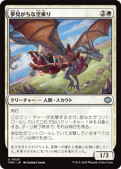 画像1: 【日本語】夢見がちな空乗り/Starry-Eyed Skyrider (1)