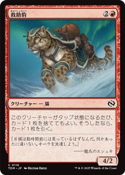 画像1: 【日本語】救助豹/Rescue Leopard (1)