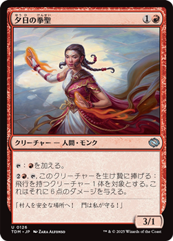 画像1: 【日本語】夕日の拳聖/Sunset Strikemaster (1)