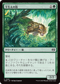 画像1: 【日本語】下生えの豹/Undergrowth Leopard (1)