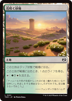 画像1: 【日本語】花咲く砂地/Blossoming Sands (1)