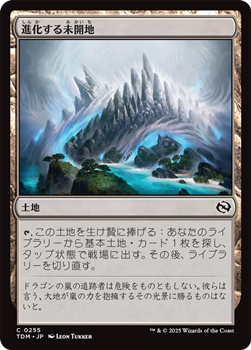 画像1: 【日本語】進化する未開地/Evolving Wilds (1)