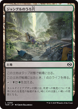 画像1: 【日本語】ジャングルのうろ穴/Jungle Hollow (1)