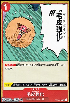画像1: 【C】毛皮強化 (1)