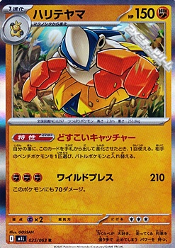 画像1: 【R】ハリテヤマ (1)