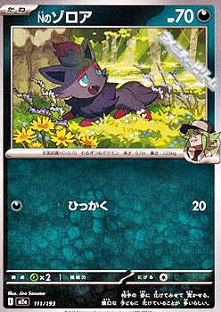 画像1: 【ノーマル】Nのゾロア (1)