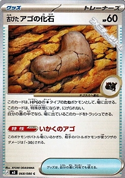 画像1: 【C】古びたアゴの化石 (1)