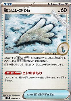 画像1: 【C】古びたヒレの化石 (1)