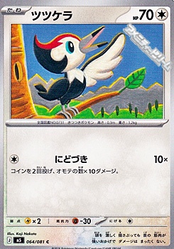 画像1: 【C】ツツケラ (1)
