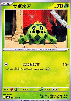 画像1: 【C】サボネア (1)
