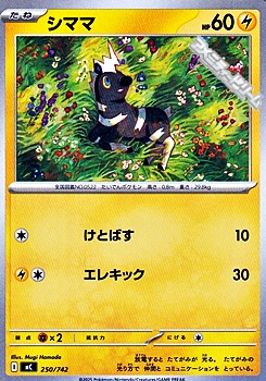 画像1: 【ノーマル】シママ (250) (1)