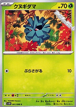 画像1: 【C】クヌギダマ (1)