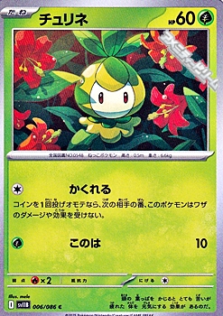 画像1: 【C】チュリネ (1)