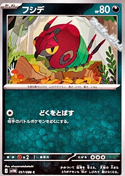 画像1: 【C】フシデ (1)