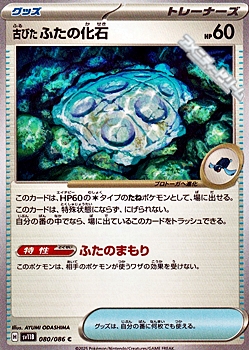 画像1: 【C】古びたふたの化石 (1)