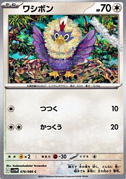 画像1: 【C】ワシボン (1)