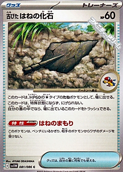 画像1: 【C】古びたはねの化石 (1)