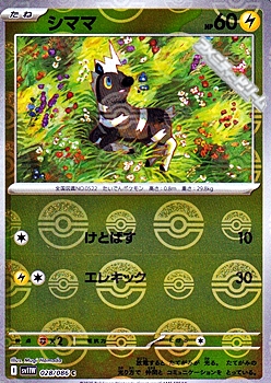 画像1: 【ミラー】シママ (1)