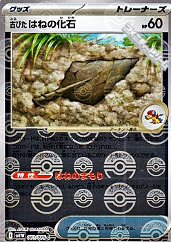 画像1: 【ミラー】古びたはねの化石 (1)