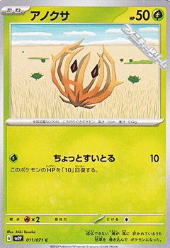 画像1: 【C】アノクサ (1)