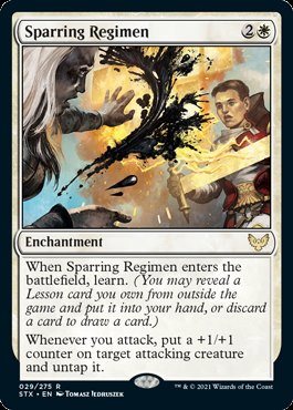 英語 戦闘講習 Sparring Regimen アメニティードリーム通販部 英語 戦闘講習 Sparring Regimen アメニティードリーム通販部
