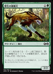 画像1: 【日本語】野生の雑種犬/Wild Mongrel (1)