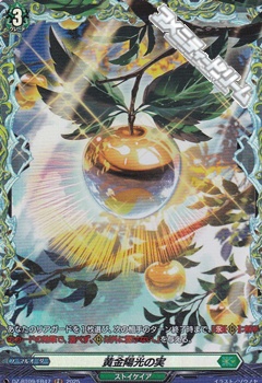 画像1: 【FR】黄金陽光の実 (1)