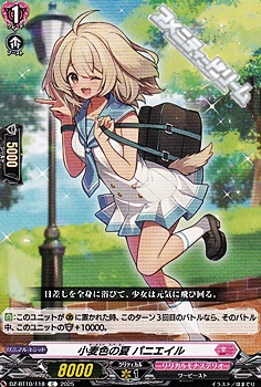 画像1: 【C】小麦色の夏 パニエイル (1)