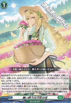 画像1: 【R】舞い咲うは万彩の花 (1)