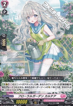 画像1: 【C】フローラルガーデン カルテア (1)