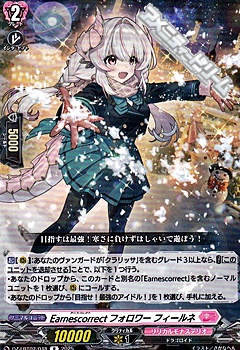 画像1: 【R】Earnescorrectフォロワー フィールネ (1)