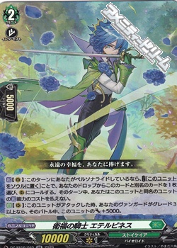 画像1: 【RR】衛福の騎士 エテルピネス (1)